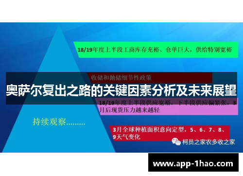 奥萨尔复出之路的关键因素分析及未来展望