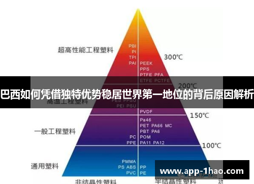 巴西如何凭借独特优势稳居世界第一地位的背后原因解析