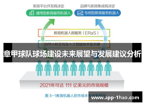 意甲球队球场建设未来展望与发展建议分析 意甲球队球场建设未来展望与发展建议分析