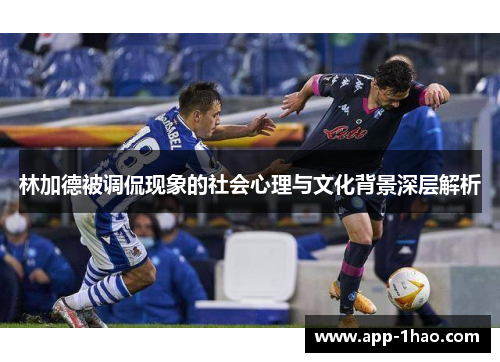 林加德被调侃现象的社会心理与文化背景深层解析